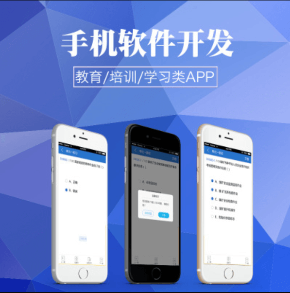 软件外包公司APP<a href='https://www.vowins.com/xcx/' target='_blank'><u>小程序开发</u></a>公司