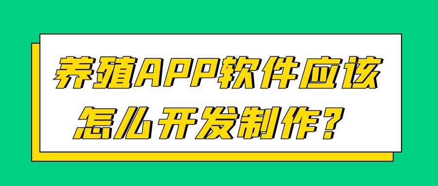 APP开发设计