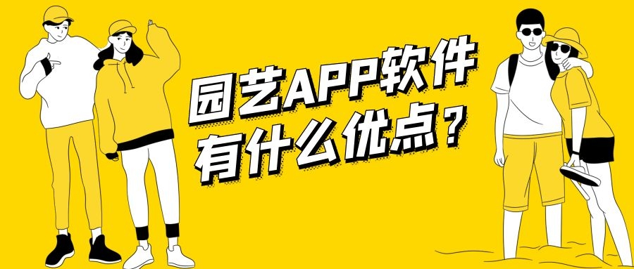 APP开发设计