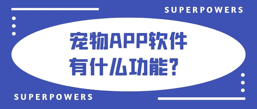 APP开发设计