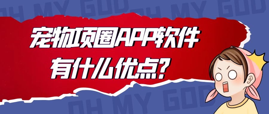 APP开发设计