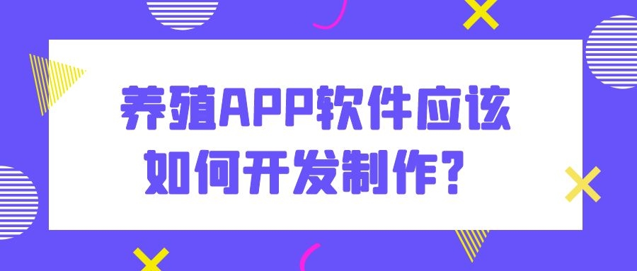 APP开发设计