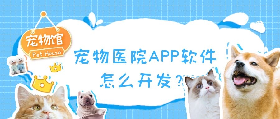 APP开发设计