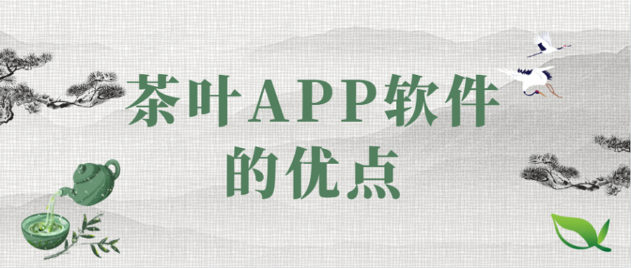 APP开发