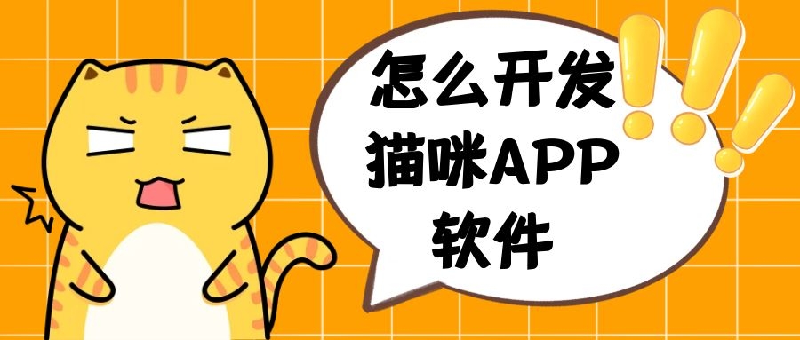 APP开发设计