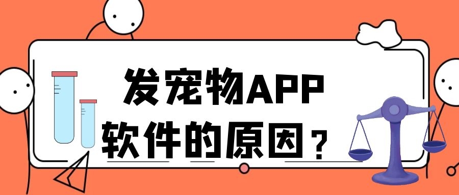 APP开发设计