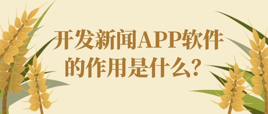 APP开发设计